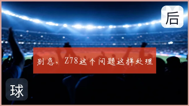别急，Z78这个问题这样处理